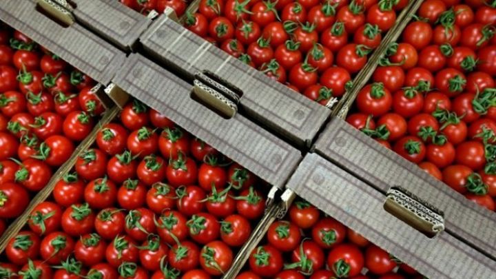 Birinci yeri pomidor, ikinci yeri qızıl tutur - 855 milyonluq ixrac