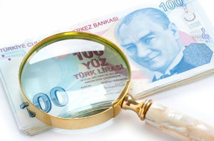 Dollar/TL-də il sonu proqnozu