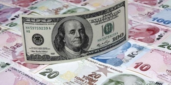 Türk Lirəsi ucuzlaşmaqda davam edir