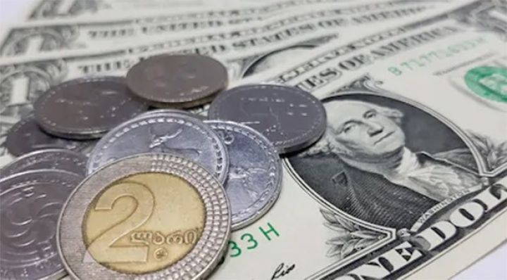 Lari ucuzlaşmaqda davam edir