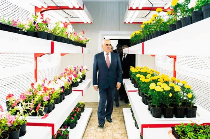 Naxçıvan tinglərə və gül kollarına olan tələbatını yerli istehsal hesabına ödəyəcək