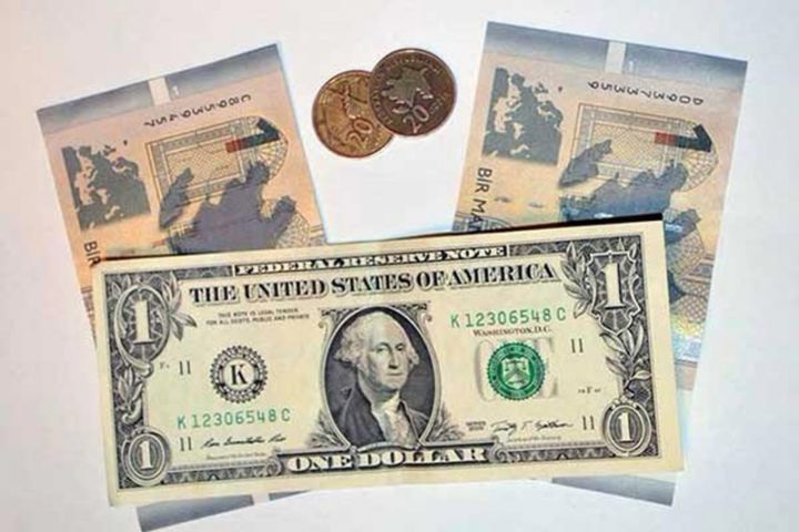 "Devalvasiya olmaması daha münasibdir, bankları sıradan çıxara bilər"