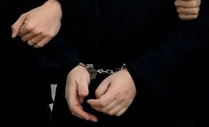 Əcnəbilərin qanunsuz Azərbaycana gəlmələrini təşkil edən şəxs saxlanılıb
