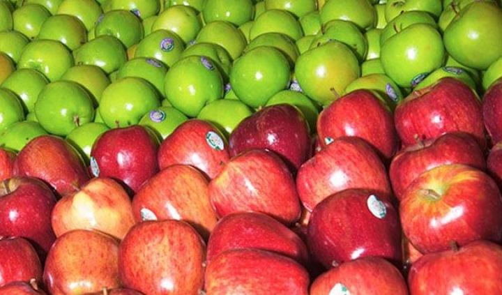 Alma ixracı cüzi artıb