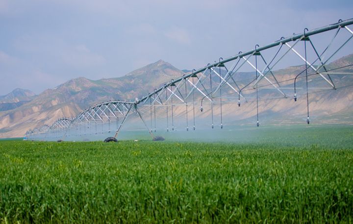 Yevlaxda aqropark yaradılacaq