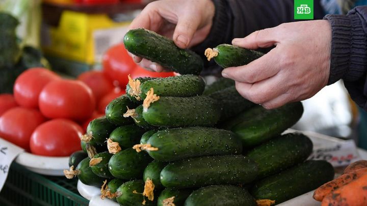 Rusiyada oktyabrda xiyar 48,7%, pomidor 43,8% bahalaşıb