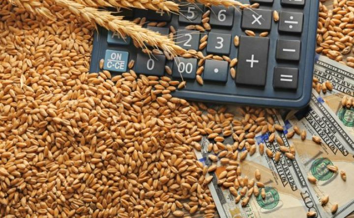 Yanvar - iyul aylarında Rusiyadan buğda ixracı 5,8% azalıb