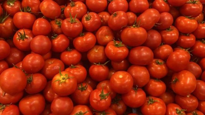 Rusiya, Türkiyə pomidoruna və bibərinə tətbiq etdiyi məhdudiyyətləri ləğv edib