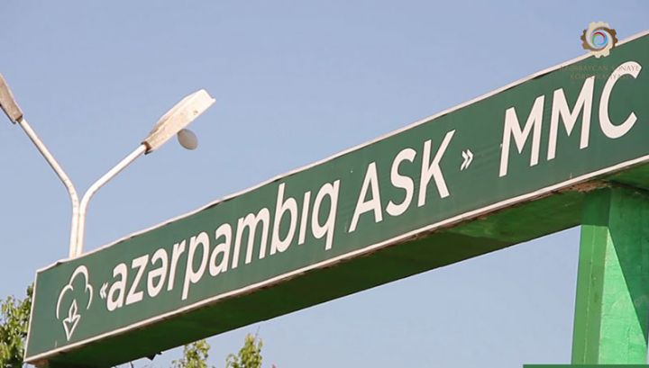 “Azərpambıq"ın xalis mənfəəti kəskin artıb