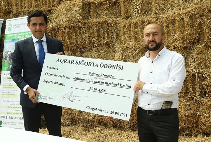 "150-200 manat ödənildiyi halda, fermer 5000 manatdan artıq vəsait əldə edib" - MÜSAHİBƏ