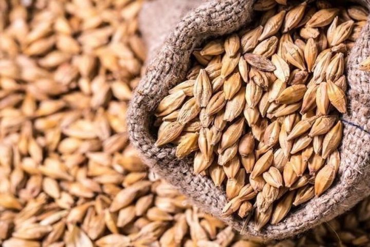 Azərbaycan arpa idxalını fevralda kəskin artırıb