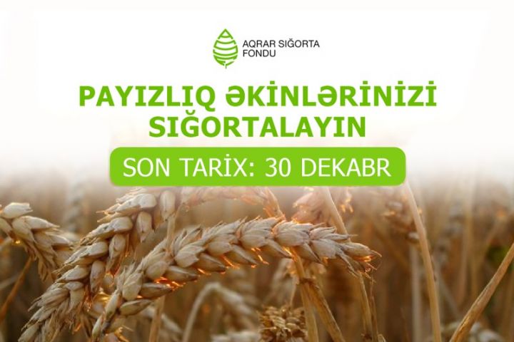 “Payızlıq əkinlərinizi dekabrın 30-dək sığortalayın” - FERMERLƏRƏ MÜRACİƏT