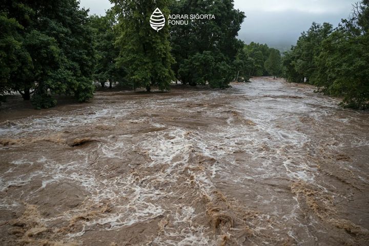 Aqrar Sığorta Fondundan qeyri-sabit hava şəraiti ilə bağlı müraciət