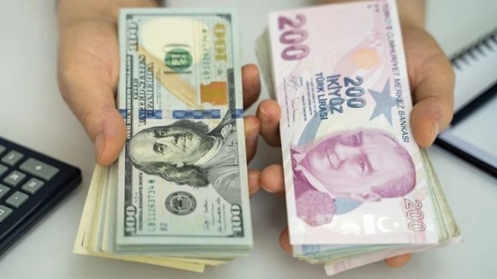 Türk Lirəsi yeni nazirlərin təyinatına baxmayaraq ucuzlaşır