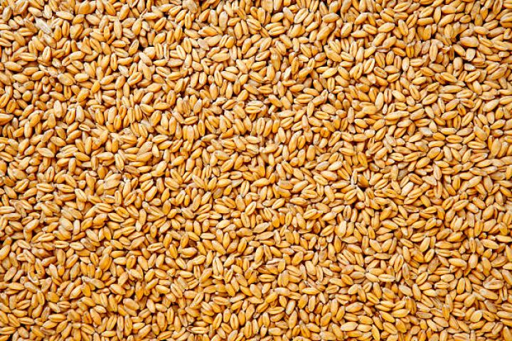Azərbaycan Dəmir Yolları daha çox taxıl və dənli bitkilər daşıyıb