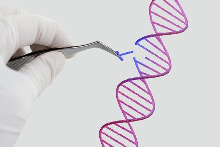 Azərbaycanda insanın klonu patent obyekt kimi qəbul edilməyəcək