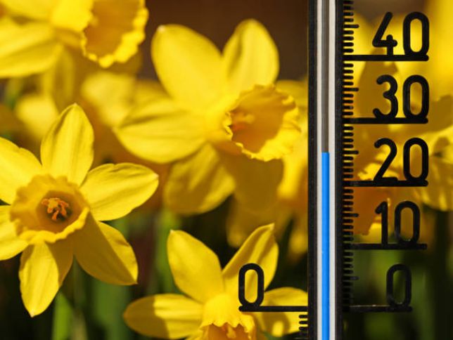 Mayın 21-nin hava proqnozu - 27° isti gözlənilir