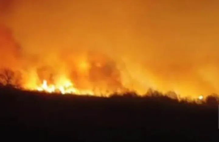 Cəbrayıl və Füzuli rayonlarında yanğın - sərhəd boyunca genişlənməyə davam edir