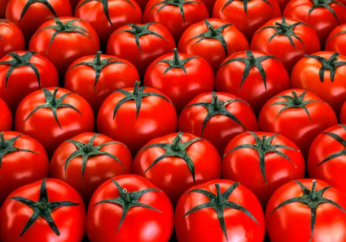 Azərbaycana pomidor ixracından daxil olan valyuta 10 faizə yaxın artıb - 192,5 MİLYON DOLLARLIQ İXRAC