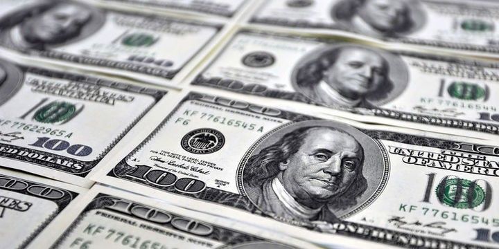Kreditlərin yarıya yaxını Dollarda verilib