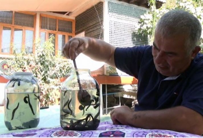 Xərcsiz yetişdirib, birini 20-50 qəpiyə satır