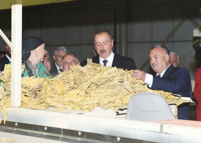 30 milyon manat kapital ilə fəaliyyətə başlayıb