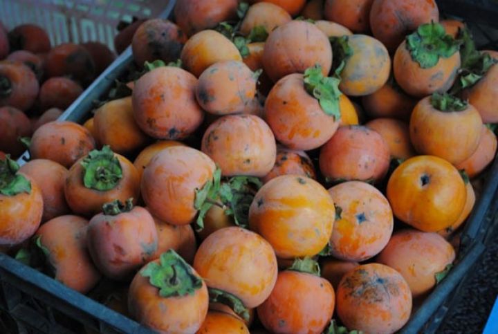 Bu il xurmanı daha yaxşı qiymətə satırlar