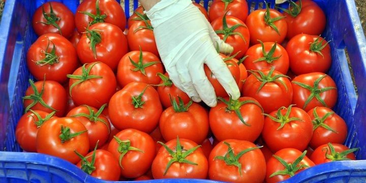 5 ayda 100 milyon dollara yaxın valyuta gətirib