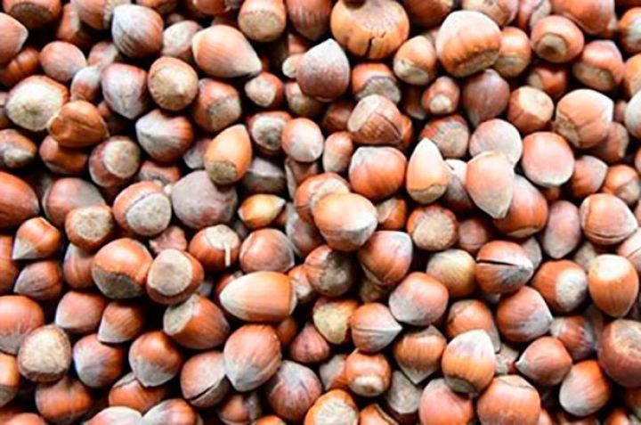  245 min ton fındıq ixracından 1 milyard 432 milyon dollar gəlir əldə edilib