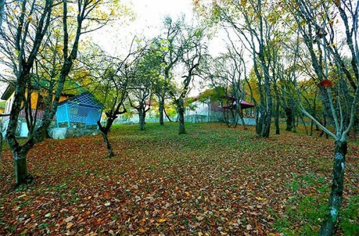 Bazar gününün hava proqnozu açıqlanıb