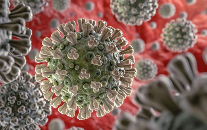 Azərbaycanda koronavirus ilə bağlı son vəziyyət - RƏSMİ MƏLUMAT