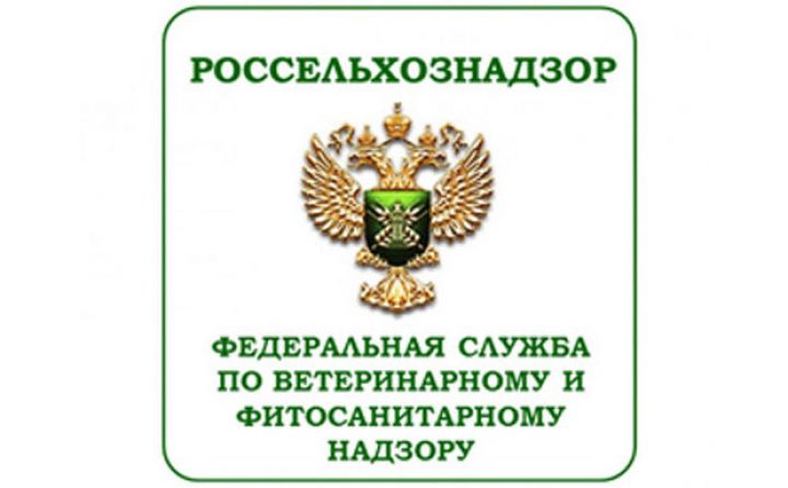 Azərbaycan Rusiya şirkətlərinə icazə verdi