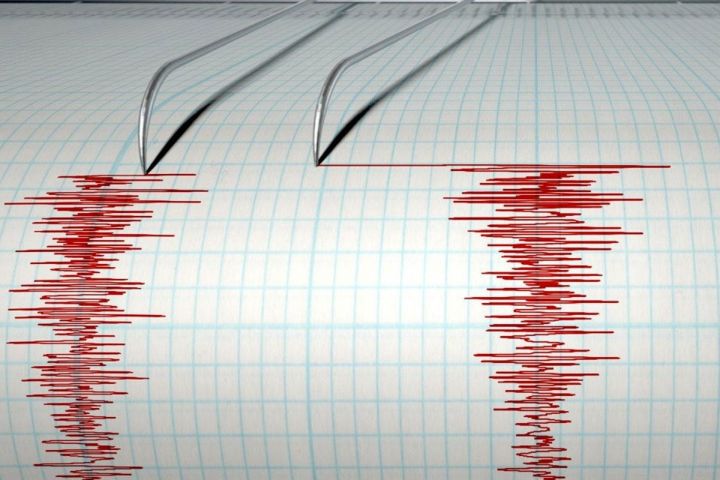 Yeni Zelandiyada 7,0 bal gücündə zəlzələ baş verib
