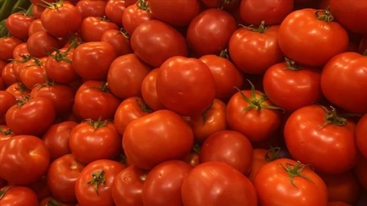 Türkiyə  meyvə - tərəvəz ixracında Rusiyadan asılı qalmaq istəmir