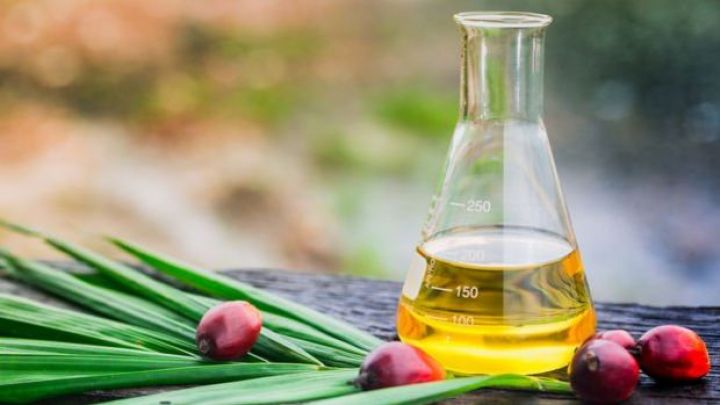 Palma yağının qiyməti 13 ilin ən yüksək səviyyəsində