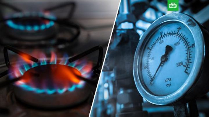 Avropada qazın qiyməti  1100 dolları ötüb