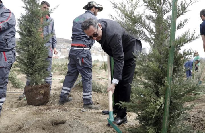 “Yaşıl dünya naminə həmrəylik ili” çərçivəsində SOCAR-ın təşkilatçılığı ilə ağacəkmə aksiyası keçirilib