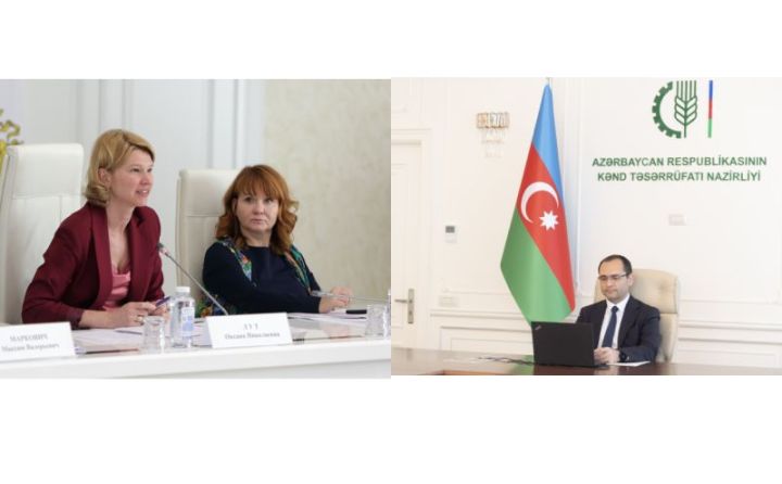 Rusiya: Azərbaycanın taxıla olan tələbatını tam qarşılamağa hazırıq - Biznes missiyası Azərbaycana gəlir
