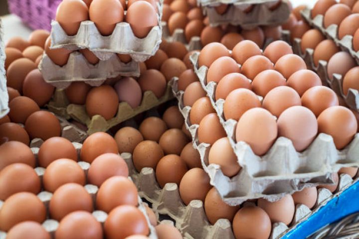 Azərbaycanda süni yumurta satışı iddiaları ilə bağlı AÇIQLAMA